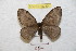  ( - BC-RBP 8940)  @14 [ ] Copyright (2015) Ron Brechlin Research Collection of Ron Brechlin