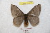  ( - BC-RBP 8945)  @14 [ ] Copyright (2015) Ron Brechlin Research Collection of Ron Brechlin