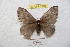  ( - BC-RBP 8949)  @13 [ ] Copyright (2015) Ron Brechlin Research Collection of Ron Brechlin