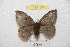  ( - BC-RBP 8953)  @13 [ ] Copyright (2015) Ron Brechlin Research Collection of Ron Brechlin