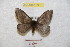  ( - BC-RBP 8961)  @12 [ ] Copyright (2015) Ron Brechlin Research Collection of Ron Brechlin