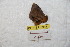  ( - BC-RBP 8966)  @13 [ ] Copyright (2015) Ron Brechlin Research Collection of Ron Brechlin