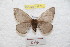 ( - BC-RBP 8979)  @13 [ ] Copyright (2015) Ron Brechlin Research Collection of Ron Brechlin