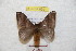  ( - BC-RBP 8991)  @14 [ ] Copyright (2015) Ron Brechlin Research Collection of Ron Brechlin