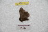  ( - BC-RBP 9002)  @13 [ ] Copyright (2015) Ron Brechlin Research Collection of Ron Brechlin