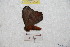  ( - BC-RBP 9003)  @12 [ ] Copyright (2015) Ron Brechlin Research Collection of Ron Brechlin
