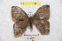  ( - BC-RBP 9008)  @13 [ ] Copyright (2015) Ron Brechlin Research Collection of Ron Brechlin