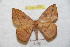  ( - BC-RBP 9009)  @13 [ ] Copyright (2015) Ron Brechlin Research Collection of Ron Brechlin