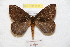  ( - BC-RBP 9011)  @14 [ ] Copyright (2015) Ron Brechlin Research Collection of Ron Brechlin