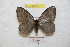  ( - BC-RBP 9013)  @14 [ ] Copyright (2015) Ron Brechlin Research Collection of Ron Brechlin