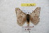  ( - BC-RBP 9023)  @14 [ ] Copyright (2015) Ron Brechlin Research Collection of Ron Brechlin