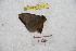  ( - BC-RBP 9044)  @11 [ ] Copyright (2015) Ron Brechlin Research Collection of Ron Brechlin
