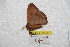  ( - BC-RBP 9059)  @12 [ ] Copyright (2015) Ron Brechlin Research Collection of Ron Brechlin