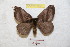  ( - BC-RBP 9063)  @14 [ ] Copyright (2015) Ron Brechlin Research Collection of Ron Brechlin