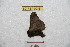  ( - BC-RBP 9083)  @12 [ ] Copyright (2015) Ron Brechlin Research Collection of Ron Brechlin