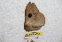  ( - BC-RBP 9094)  @12 [ ] Copyright (2015) Ron Brechlin Research Collection of Ron Brechlin