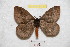  ( - BC-RBP 9112)  @11 [ ] Copyright (2015) Ron Brechlin Research Collection of Ron Brechlin