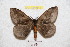  ( - BC-RBP 9113)  @13 [ ] Copyright (2015) Ron Brechlin Research Collection of Ron Brechlin