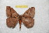  ( - BC-RBP 10939)  @11 [ ] Copyright (2018) Ron Brechlin Research Collection of Ron Brechlin