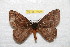  ( - BC-RBP 10945)  @11 [ ] Copyright (2018) Ron Brechlin Research Collection of Ron Brechlin