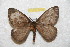  ( - BC-RBP 10946)  @11 [ ] Copyright (2018) Ron Brechlin Research Collection of Ron Brechlin