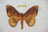  ( - BC-RBP 12183)  @11 [ ] copyright (2021) Ron Brechlin Research Collection of Ron Brechlin