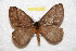  ( - BC-RBP 10947)  @11 [ ] Copyright (2018) Ron Brechlin Research Collection of Ron Brechlin