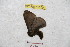  ( - BC-RBP 9200)  @11 [ ] Copyright (2015) Ron Brechlin Research Collection of Ron Brechlin