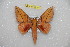  ( - BC-RBP 12194)  @11 [ ] copyright (2021) Ron Brechlin Research Collection of Ron Brechlin