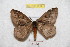  ( - BC-RBP 9229)  @13 [ ] Copyright (2015) Ron Brechlin Research Collection of Ron Brechlin