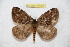  ( - BC-RBP 12202)  @11 [ ] copyright (2021) Ron Brechlin Research Collection of Ron Brechlin
