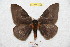  ( - BC-RBP 9235)  @13 [ ] Copyright (2015) Ron Brechlin Research Collection of Ron Brechlin