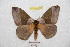  ( - BC-RBP 9238)  @13 [ ] Copyright (2015) Ron Brechlin Research Collection of Ron Brechlin