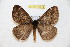  ( - BC-RBP 12214)  @11 [ ] copyright (2021) Ron Brechlin Research Collection of Ron Brechlin