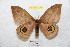  ( - BC-RBP 9245)  @14 [ ] Copyright (2015) Ron Brechlin Research Collection of Ron Brechlin