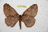  ( - BC-RBP 12218)  @11 [ ] copyright (2021) Ron Brechlin Research Collection of Ron Brechlin