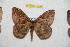  ( - BC-RBP 12220)  @11 [ ] copyright (2021) Ron Brechlin Research Collection of Ron Brechlin