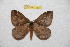 ( - BC-RBP 12221)  @11 [ ] copyright (2021) Ron Brechlin Research Collection of Ron Brechlin