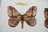  ( - BC-RBP 12222)  @13 [ ] copyright (2021) Ron Brechlin Research Collection of Ron Brechlin