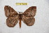  ( - BC-RBP 12224)  @11 [ ] copyright (2021) Ron Brechlin Research Collection of Ron Brechlin