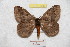  ( - BC-RBP 9282)  @11 [ ] Copyright (2015) Ron Brechlin Research Collection of Ron Brechlin
