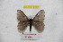  ( - BC-RBP 9287)  @13 [ ] Copyright (2015) Ron Brechlin Research Collection of Ron Brechlin