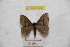 ( - BC-RBP 9288)  @13 [ ] Copyright (2015) Ron Brechlin Research Collection of Ron Brechlin