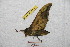  ( - BC-RBP 9319)  @13 [ ] Copyright (2015) Ron Brechlin Research Collection of Ron Brechlin