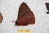  ( - BC-RBP 10976)  @11 [ ] Copyright (2018) Ron Brechlin Research Collection of Ron Brechlin