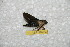  ( - BC-RBP 10984)  @11 [ ] Copyright (2018) Ron Brechlin Research Collection of Ron Brechlin