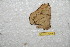 ( - BC-RBP 10990)  @12 [ ] Copyright (2018) Ron Brechlin Research Collection of Ron Brechlin