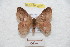  ( - BC-RBP 9337)  @14 [ ] Copyright (2015) Ron Brechlin Research Collection of Ron Brechlin