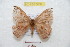  ( - BC-RBP 9339)  @13 [ ] Copyright (2015) Ron Brechlin Research Collection of Ron Brechlin