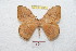  ( - BC-RBP 9340)  @14 [ ] Copyright (2015) Ron Brechlin Research Collection of Ron Brechlin